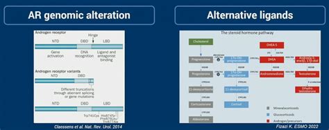 ASCO GU 2023 The Androgen Receptor Remains The Main Driver Of Disease