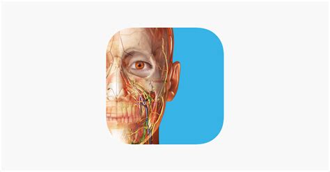 Human Anatomy Atlas 2023 En App Store