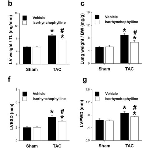 Protective Effects Of Irn Treatment On Tac Induced Cardiac Hypertrophy