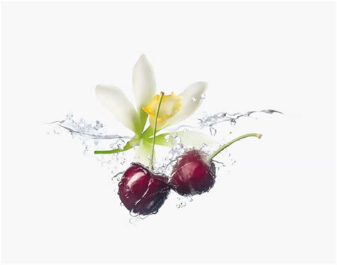 Жидкий мелатонин — Liquid Melatonin Maxler купить от производителя с ...