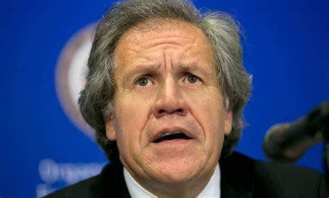 Luis Almagro Secretario General De La Oea Viol Obligaciones Ticas