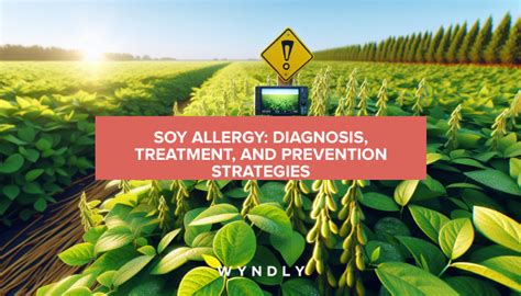 Understanding Soy Allergy Diagnosis Treatment And Prevention 2024 And Wyndly