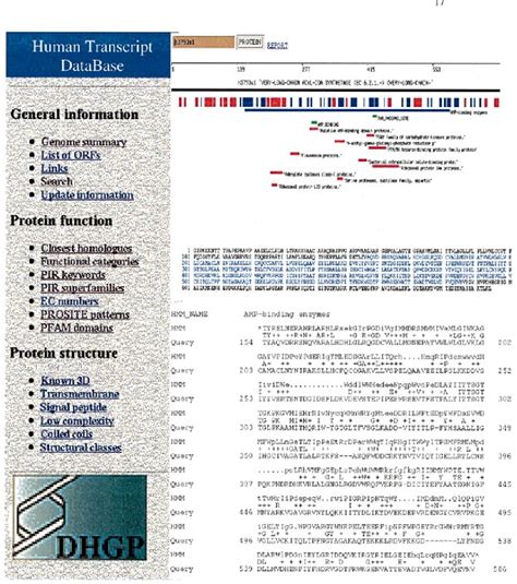 Figure From Mips A Database For Genomes And Protein Sequences