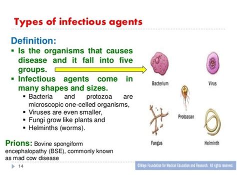 Infection Prevention Control Flashcards Quizlet