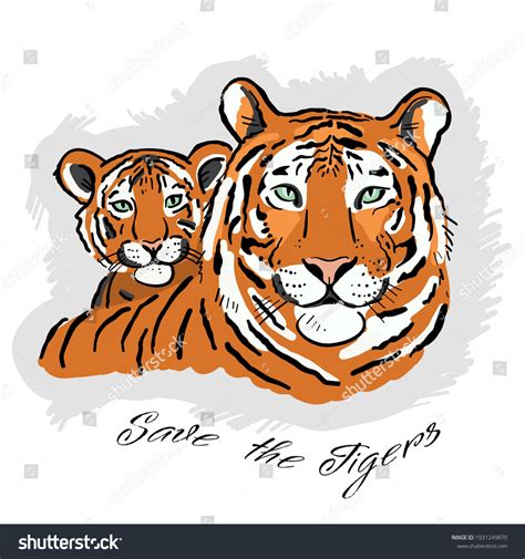 Mother Tiger: Over 683 Royalty-Free Licensable Stock Vectors & Vector ...