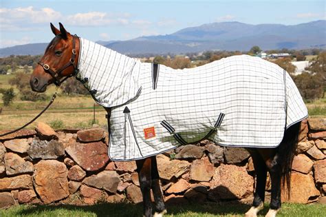 Exclusive Oxford Double Ripstop 'Platinum' Cotton Combo With Double ...