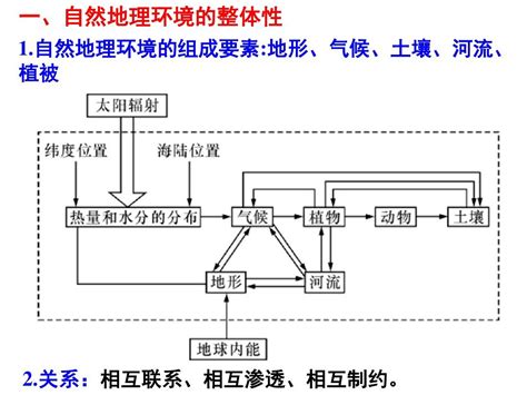 2015年高三地理第一轮复习——自然地理环境的整体性word文档在线阅读与下载无忧文档