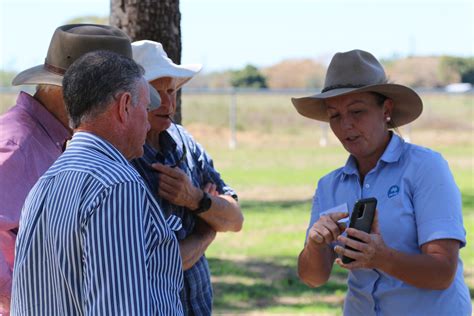 A Century Of Livestock Research Highlights Csiroscope