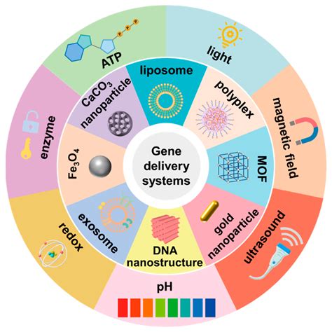 advances  challenges  stimuli responsive nucleic acids delivery