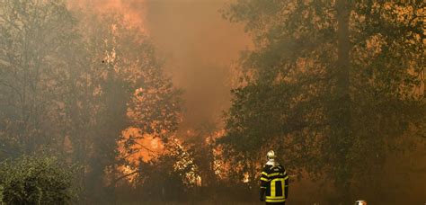 Incendie Dans Le Médoc 3720 Hectares Détruits