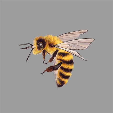 Dibujo Vectorial Realista De Una Abeja Hermosa Vector Premium