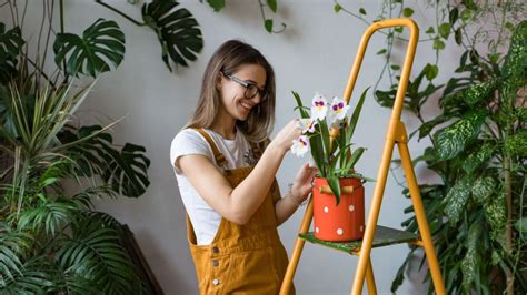 Dicas Valiosas Para Cuidar Das Plantas E Flores No Ver O