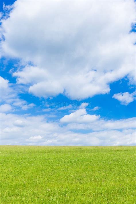 Campo Verde Y Cielo Azul Con Las Nubes Ligeras Imagen De Archivo