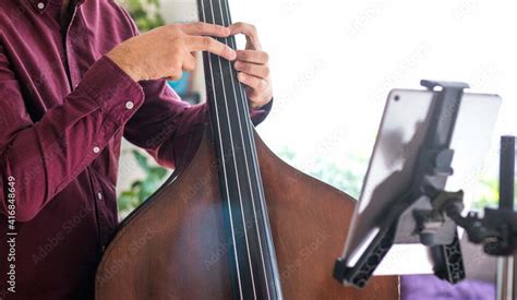 Double Bass Lessons - Baltimore School of Music