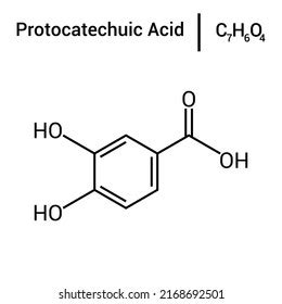 Chemical Structure Protocatechuic Acid C7h6o4 Stock Vector (Royalty Free) 2168692501 | Shutterstock