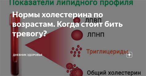 Нормы холестерина по возрастам. Когда стоит бить тревогу? | Дневник ...