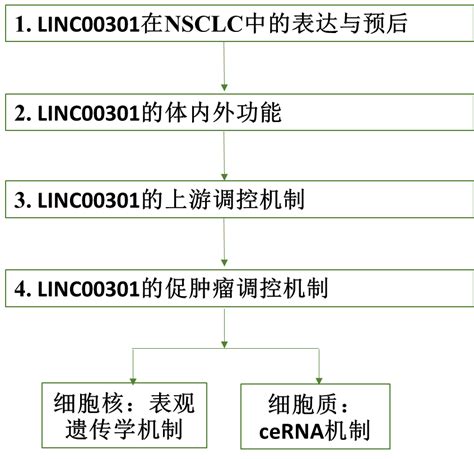 Lncrna与免疫抑制微环境的研究思路 企业动态 丁香通