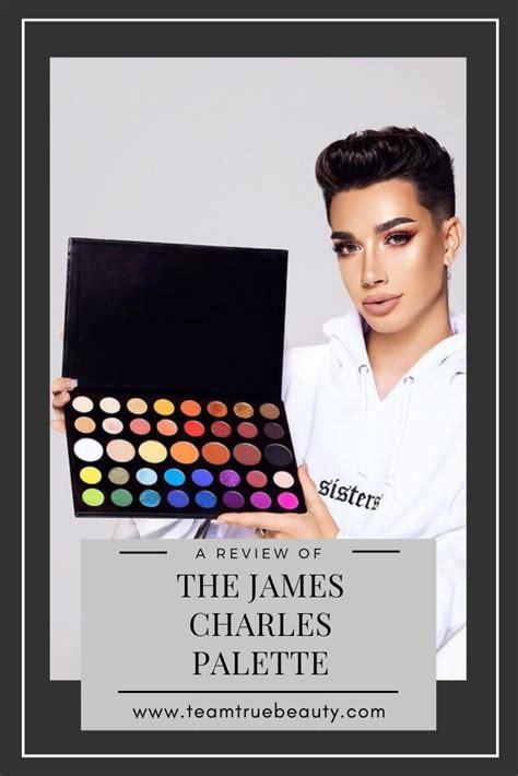 A Review Of The James Charles Palette James Charles Beauty Blog