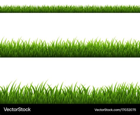 Grass border Royalty Free Vector Image - VectorStock