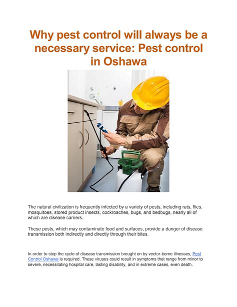 Why Pest Control Will Always Be A Necessary Service Pest Control In