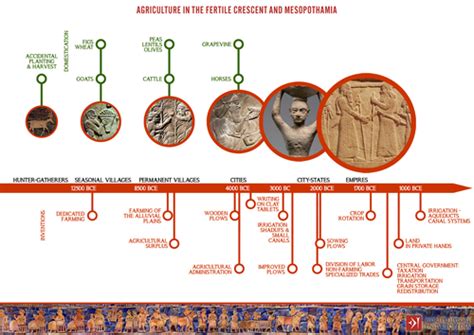 Mesopotamia: Government & Religion | Teaching Resources