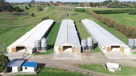 Poultry Farm For Sale Has Investors Hatching Their Buy Out Plans Nz Herald