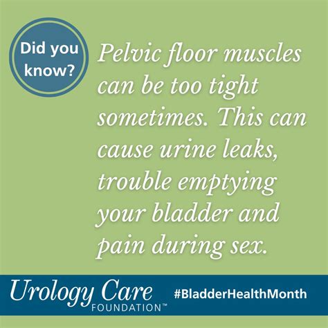 Urology Care Foundation On Twitter Explore These Stretches For