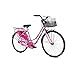 Buy Bsa Ladybird Splash Bike Barbie Pink Online At Low Prices In