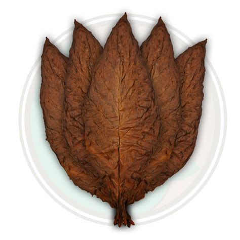 Qb Fronto Leaf Wrapper Wrapper Quality Tobacco Leaf For Fronto