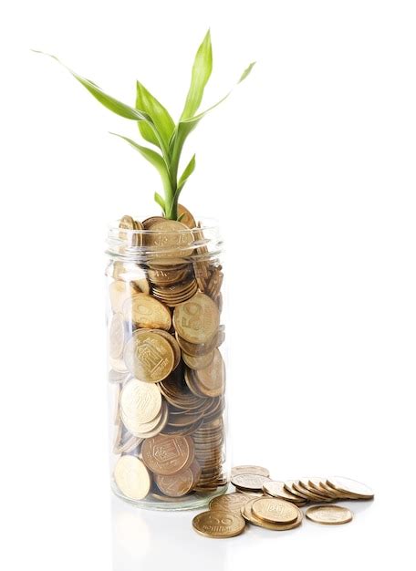 Planta Que Crece En Monedas Aislado En Blanco Foto Premium