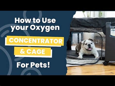 Oxygen Concentrator And Oxygen Cage Chamber Set Up For Pets Youtube