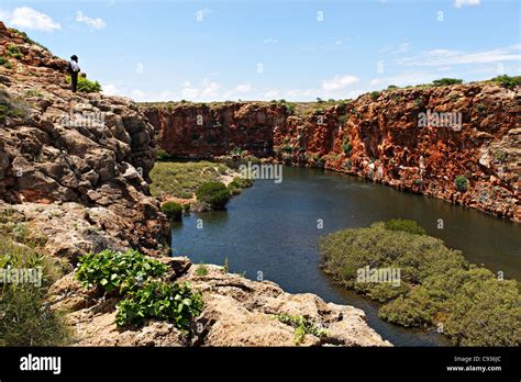 Gorge Landscape At Yardie Creek Cape Range National Park Exmouth