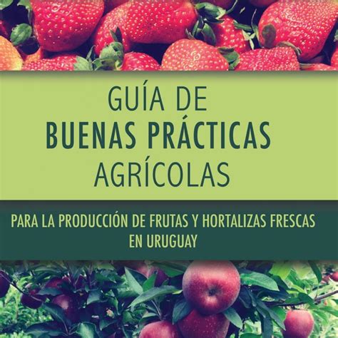 Guía De Buenas Prácticas Agrícolas Para La Producción De Frutas Y