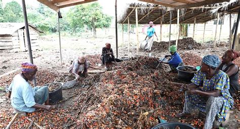 A Cleaner Palm Oil Production