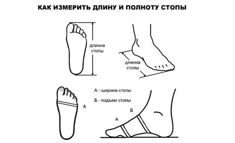 Как определить полноту обуви. Полнота ноги таблица для женщин. | myata ...