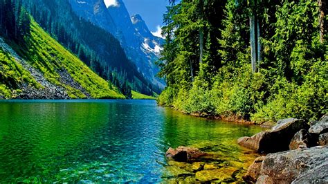 🔥 [30+] Nature Wallpapers 1600 X 900 | WallpaperSafari