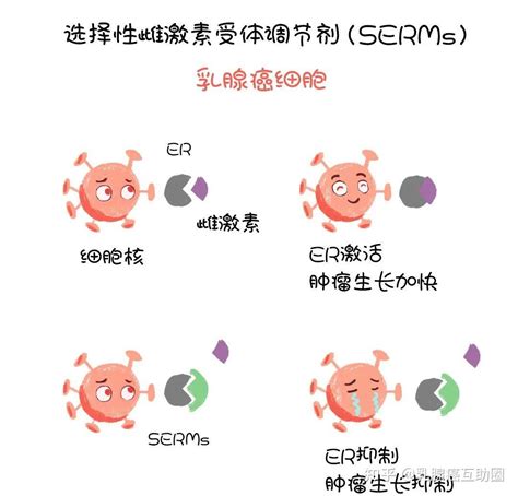 他莫昔芬买不到能换托瑞米芬吗听听专家怎么说 知乎