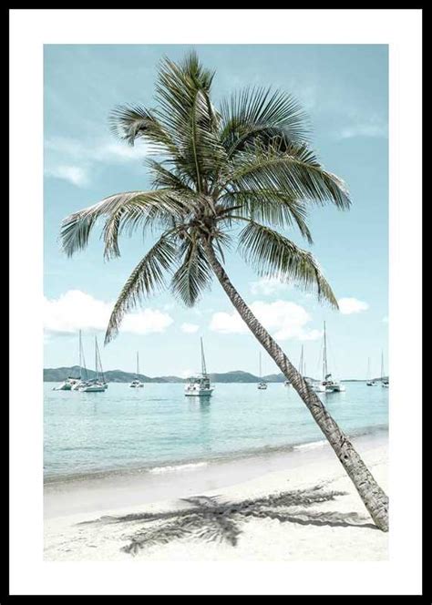 Leaning Palm No2 Poster Nature Gallerix Co Uk