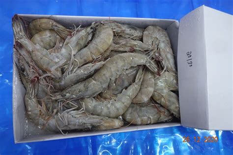 Headless Frozen Vannamei Shrimps At Best Price In Ratnagiri Skr