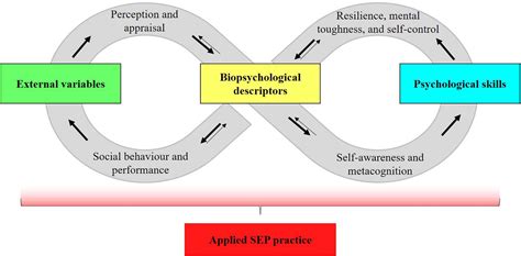 Frontiers | The Knowledge Map of Sport and Exercise Psychology: An