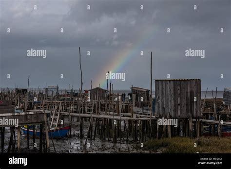 Cais palafitico da carrasqueira fotografías e imágenes de alta