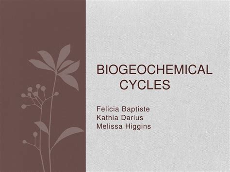 PPT - Biogeochemical Cycles PowerPoint Presentation, free download - ID ... 