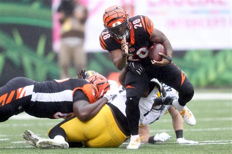 Bengals and Steelers fight on field after game