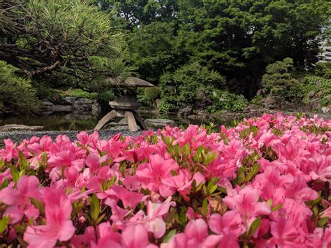 Tokyo Imperial Palace Gardens : r/japanpics