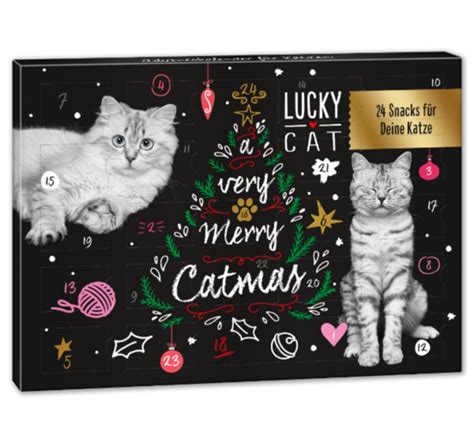 Lucky Cat Adventskalender Von Penny Markt Ansehen