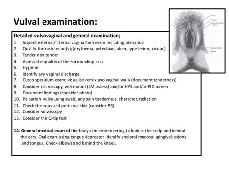 Benign Disorders Of The Vulva Pruritus Itchy Vulva Vulval Skin And…