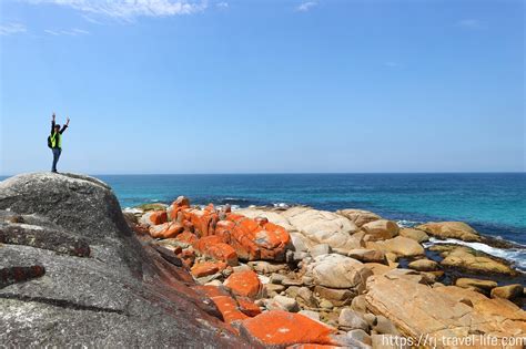 騎腳踏車狂遊塔斯馬尼亞火焰灣（Bay of Fires） | RJ Travel & Life
