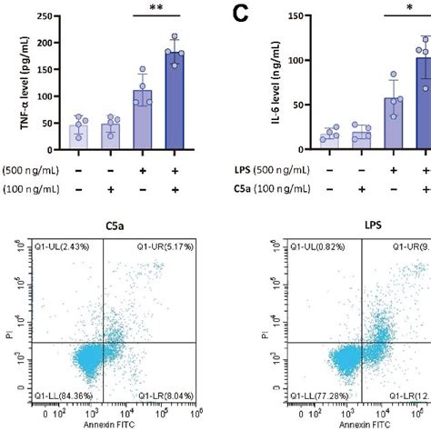 C5a Enhances LPS Induced Inflammatory Cytokine Production And Cell