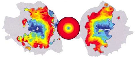 Polarity I E Orientation Map And Eccentricity Map Obtained By