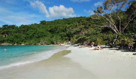 Trunk Bay Beach Day Trip - St Thomas, St John • Orana Travel